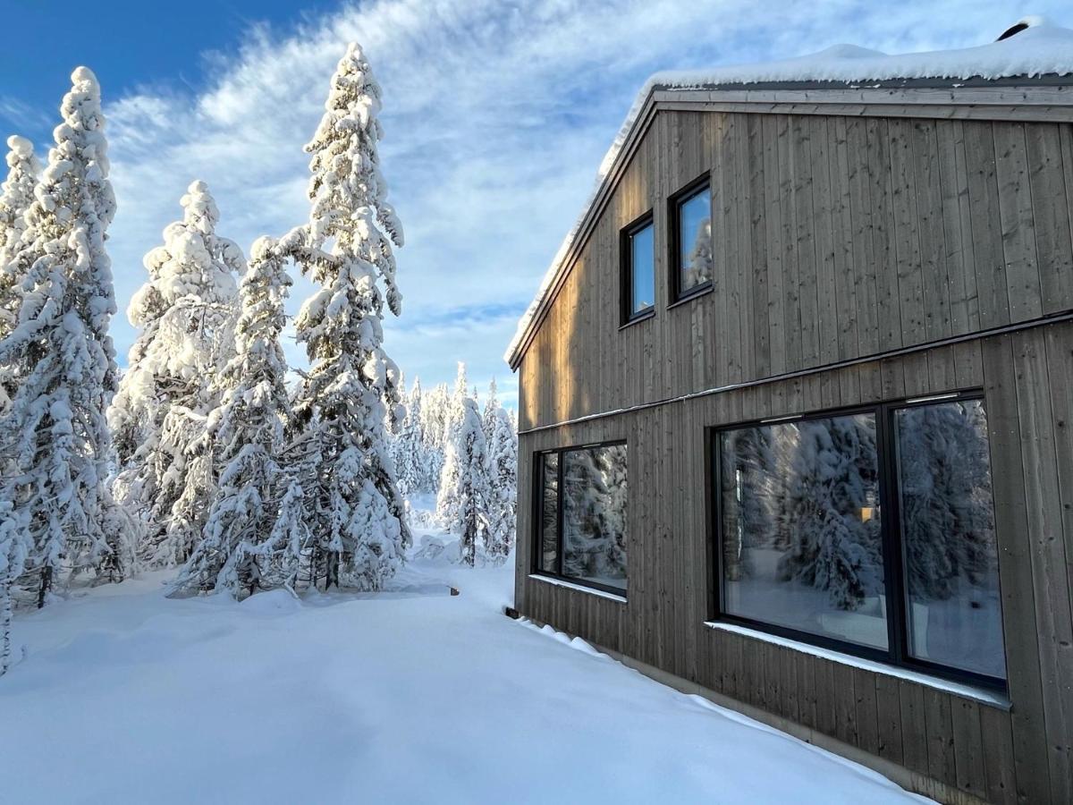 Martebaecken 21 Villa Sälen Dış mekan fotoğraf
