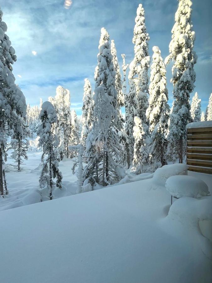Martebaecken 21 Villa Sälen Dış mekan fotoğraf